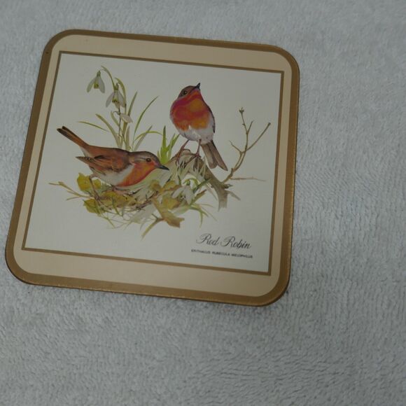 Pimpernel Coasters Set of 6 Cork Back European Birds 4x4 Original Box Vintage - Picture 7 of 11